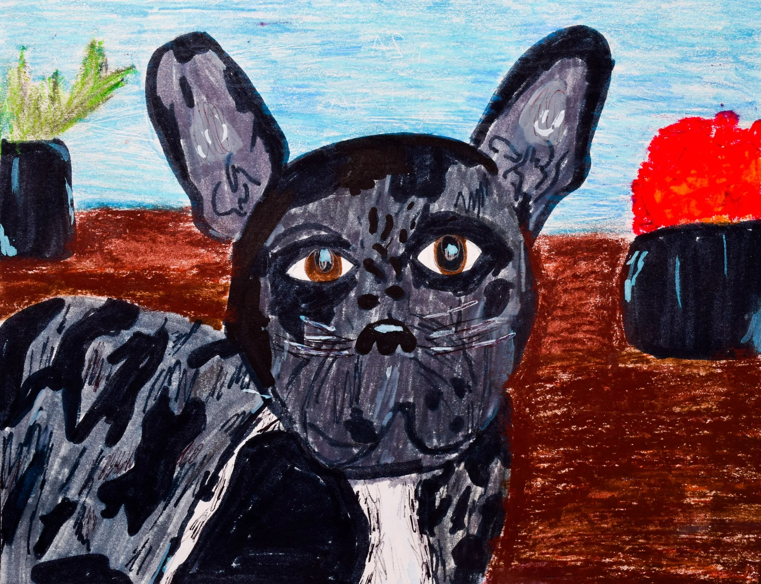 Hannah S Momenzadeh-2.jpg