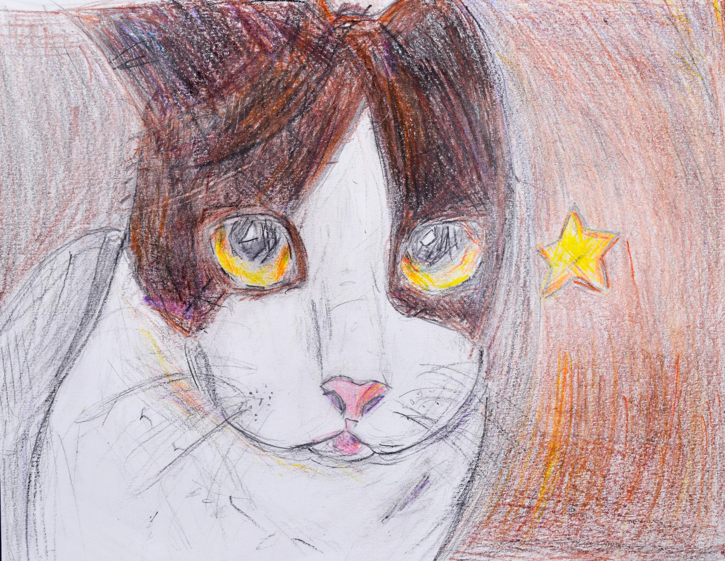 Zachary P Fains-2.jpg