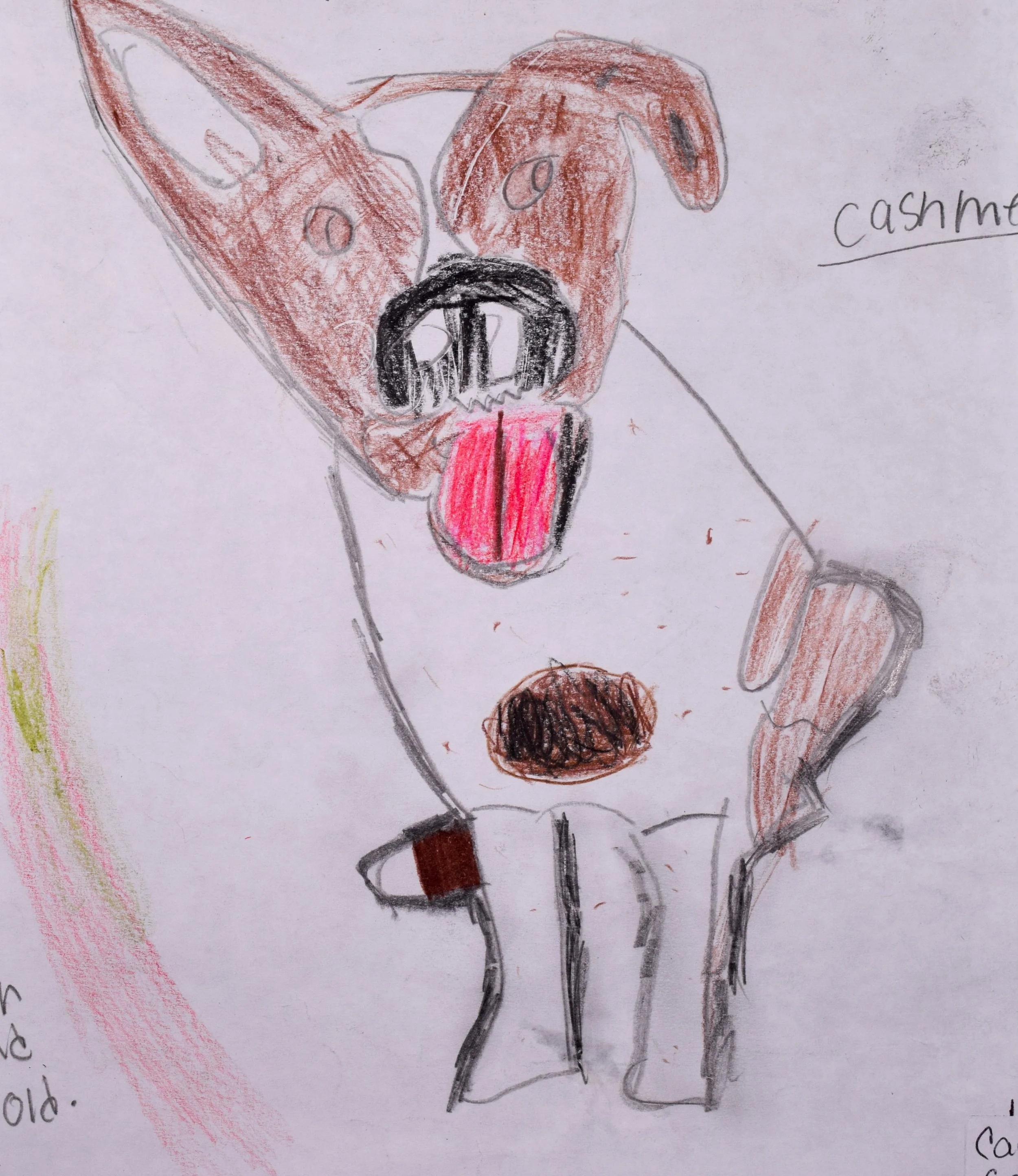 Carsyn B Cathy-2.jpg