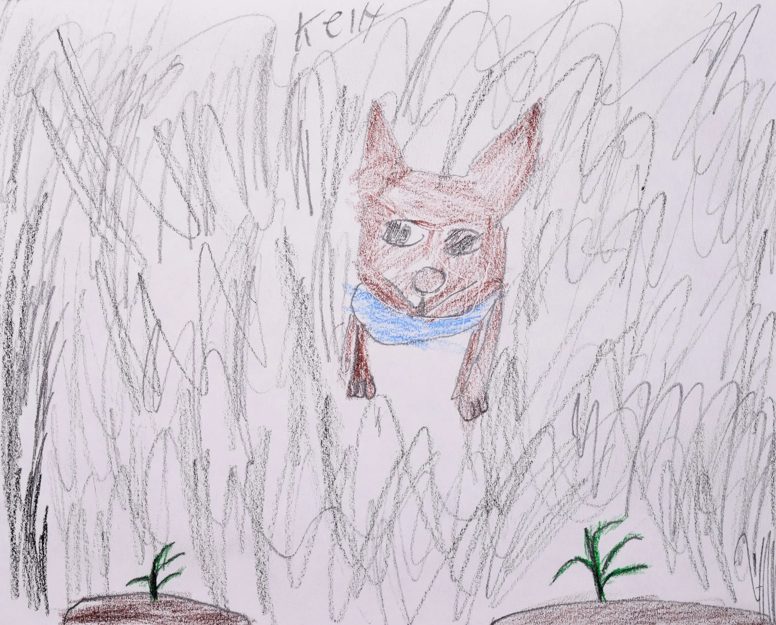 Kelly J Liberto-2.jpg