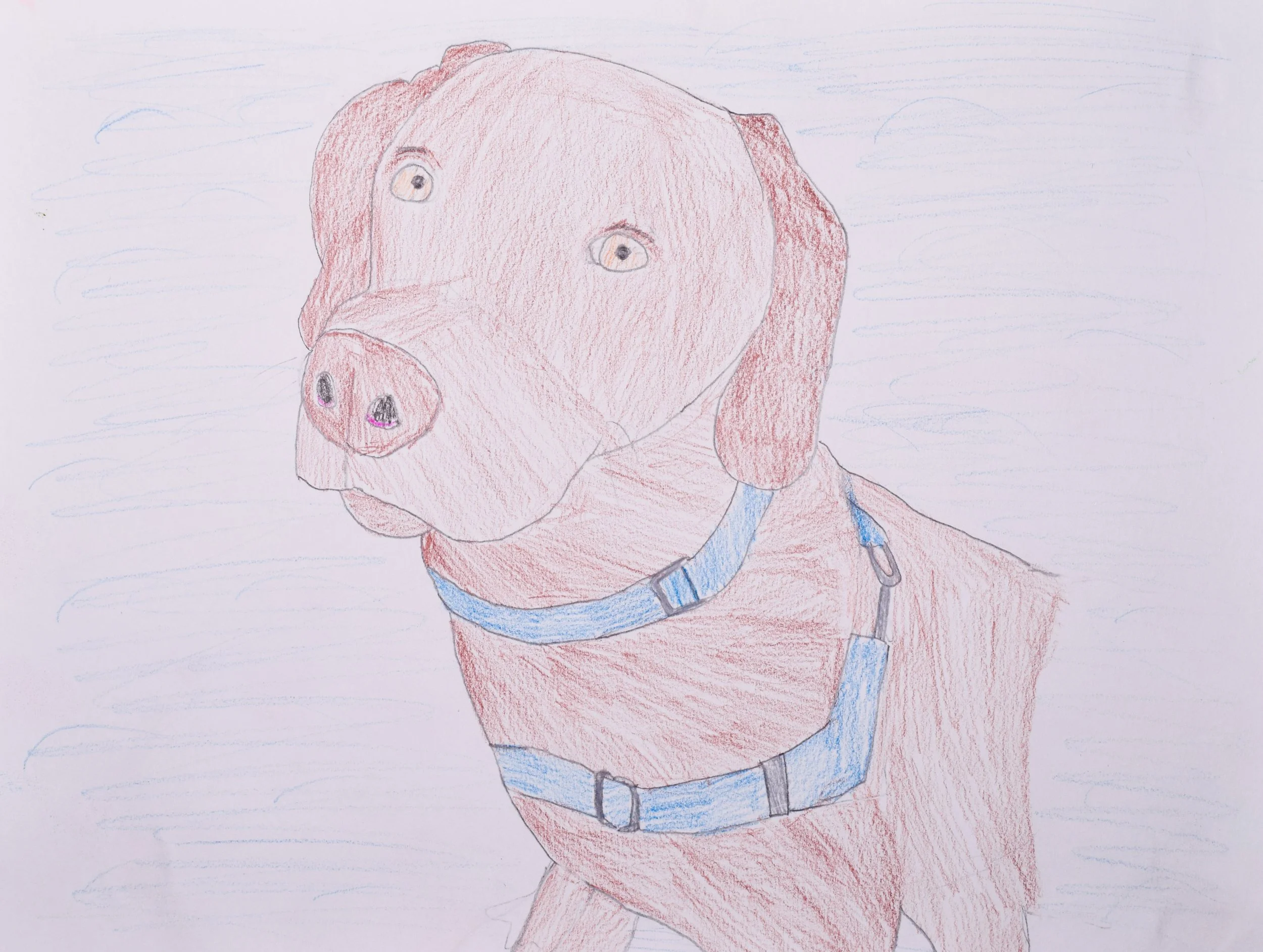 Poppy B Thompson-2.jpg