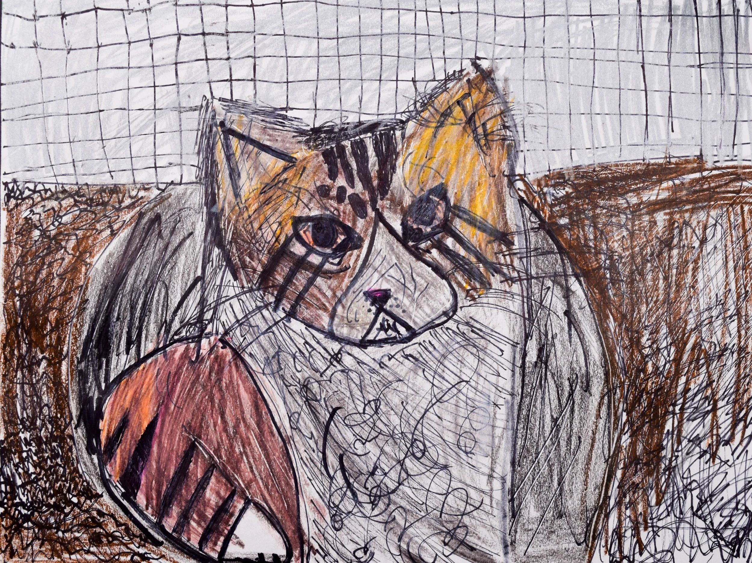 Sophia M Towner-2.jpg