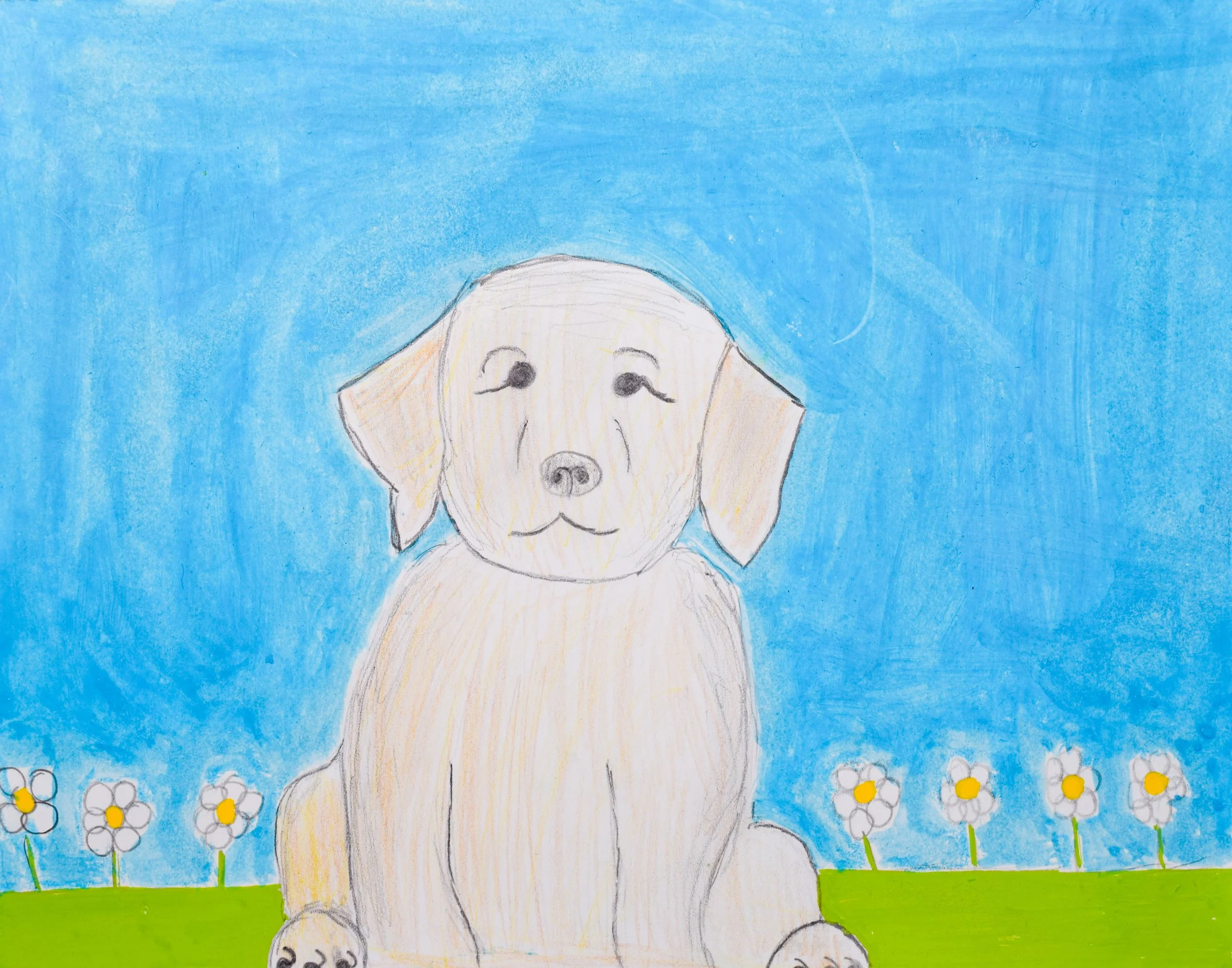 Leia F Momenzadeh-2.jpg