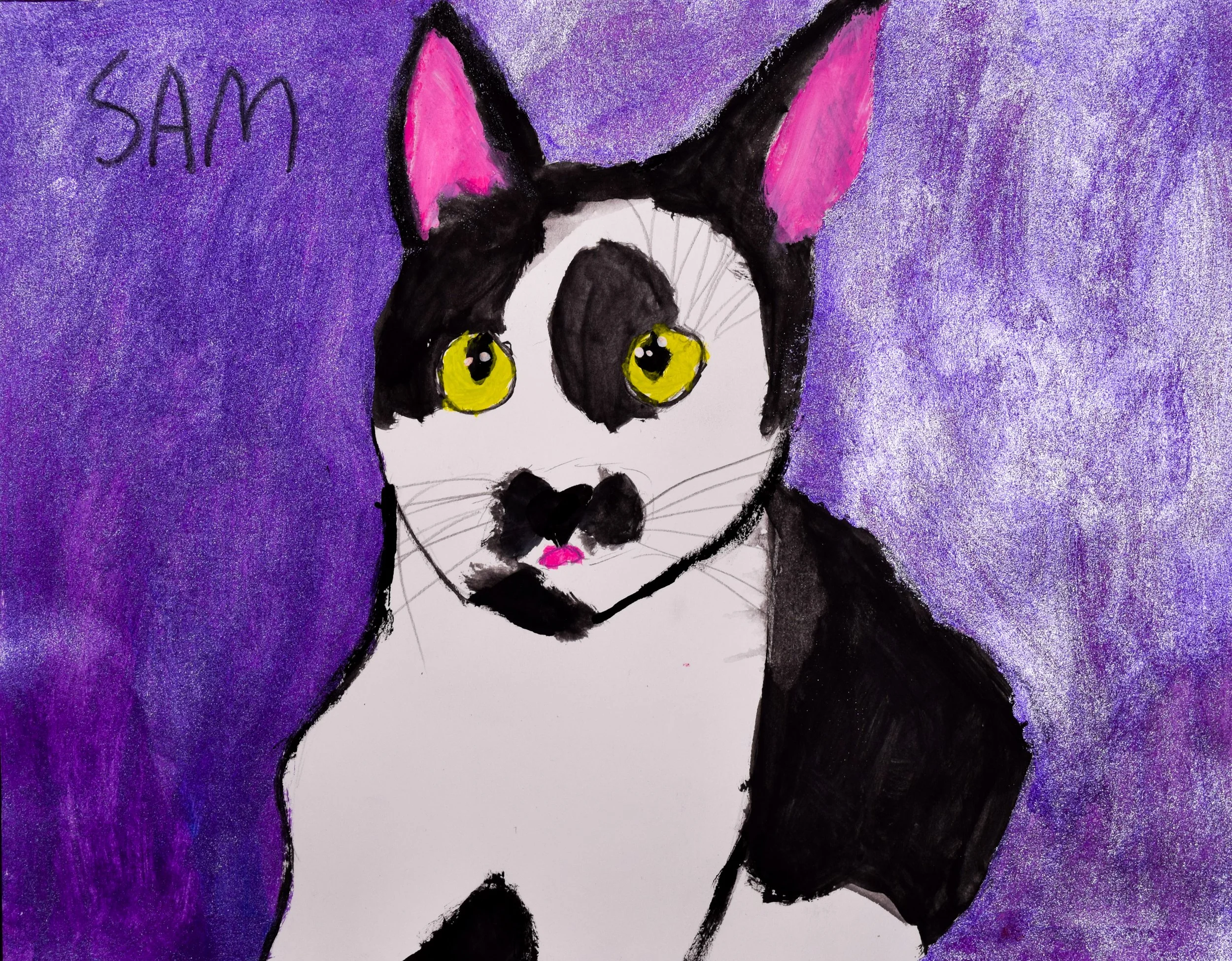 Aamana K Momenzadeh-2.jpg