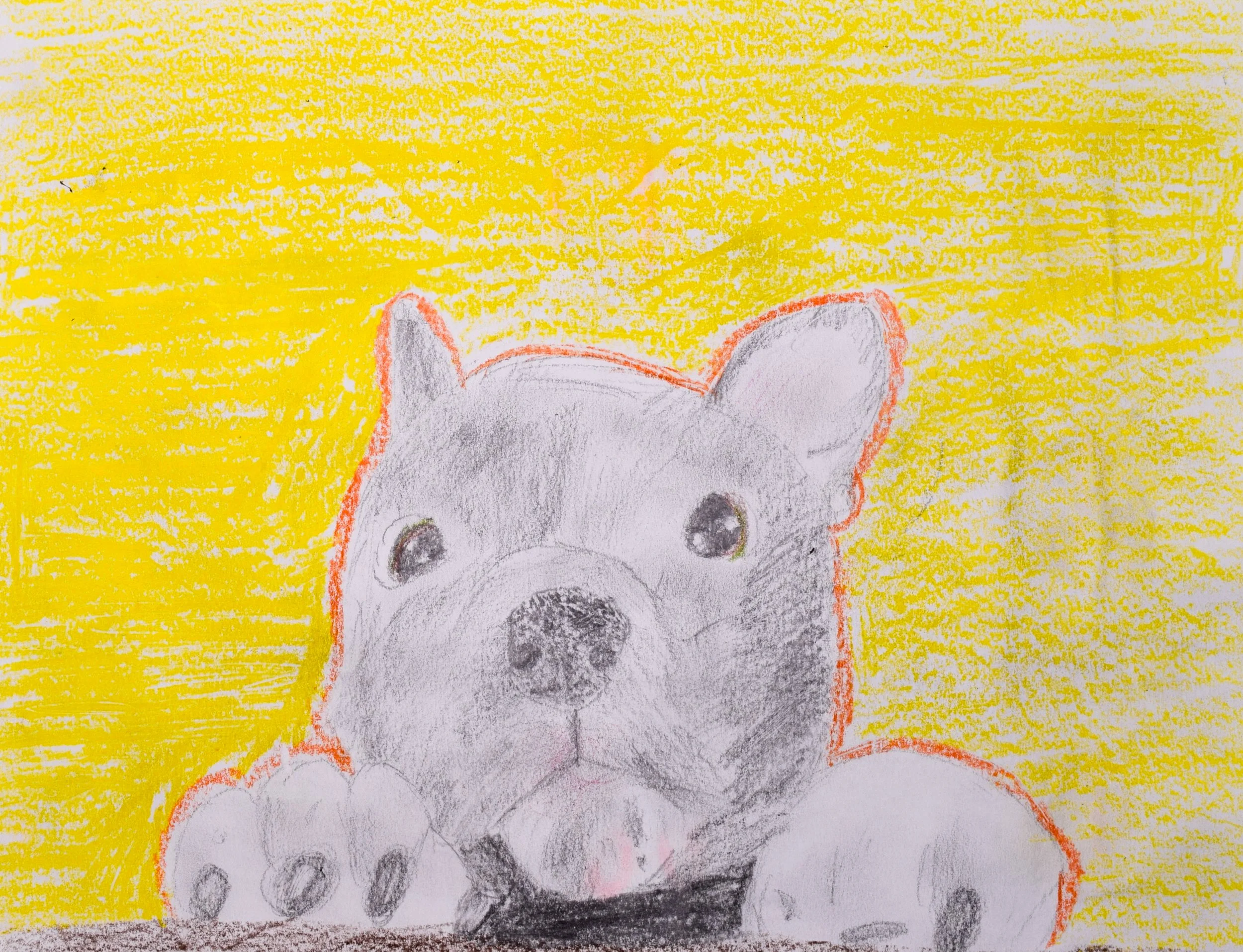 Sarah C Graham-2.jpg