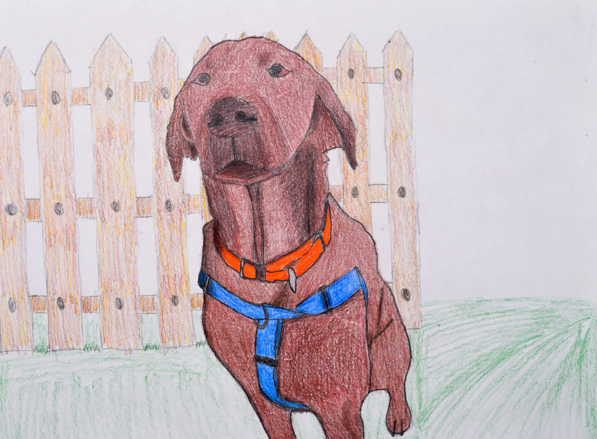 Helge B-T Liberto-2.jpg