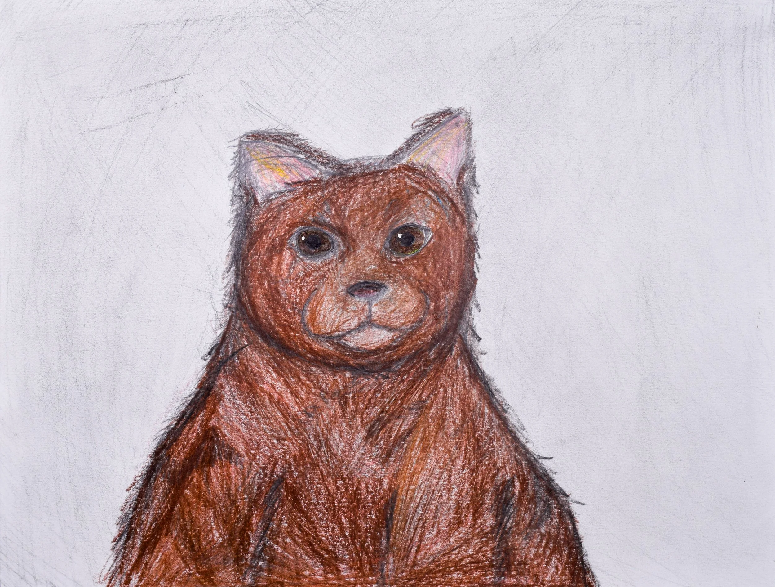 Greeshma K Fains-2.jpg