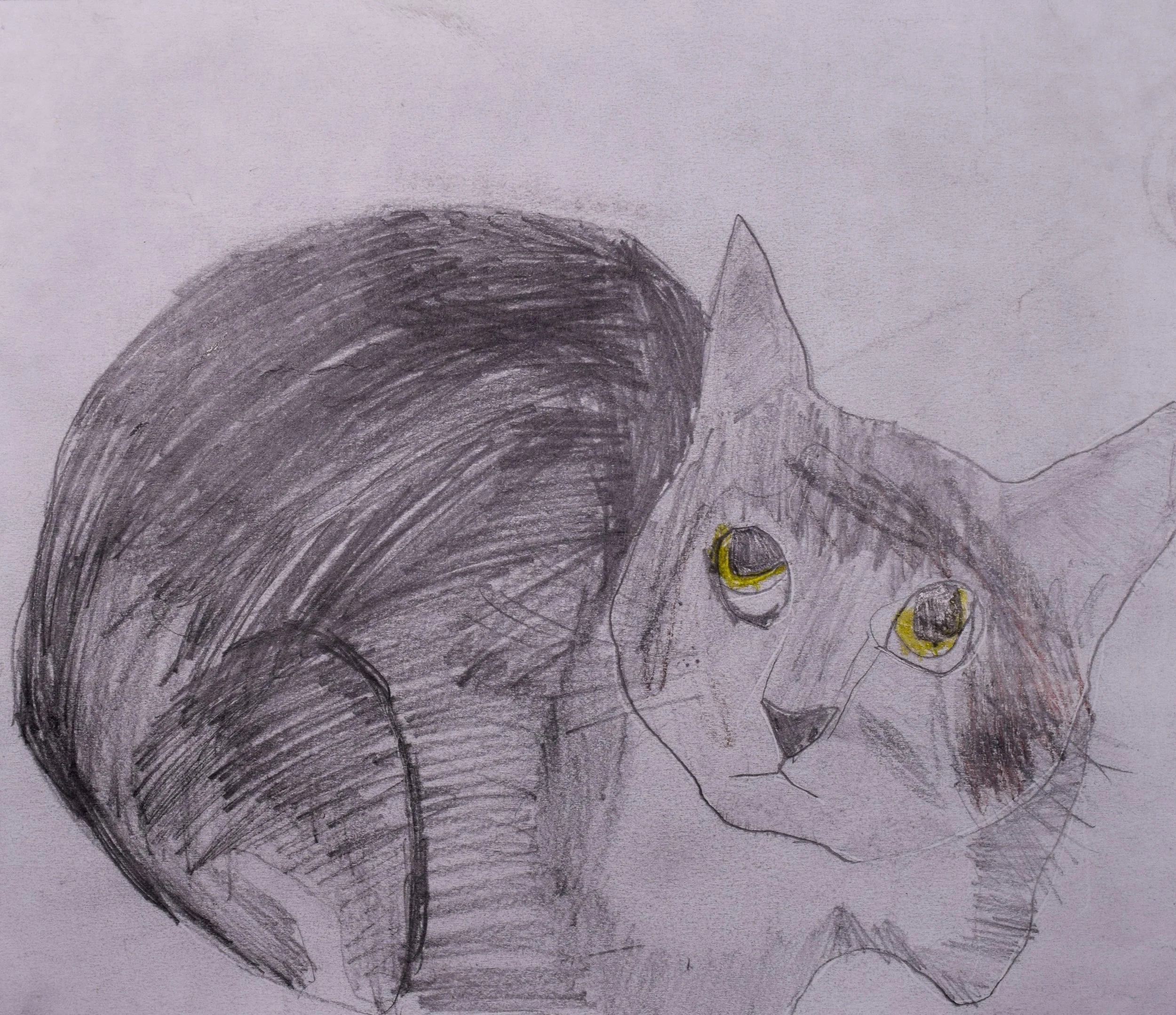 Elizabeth C Cathy-2.jpg