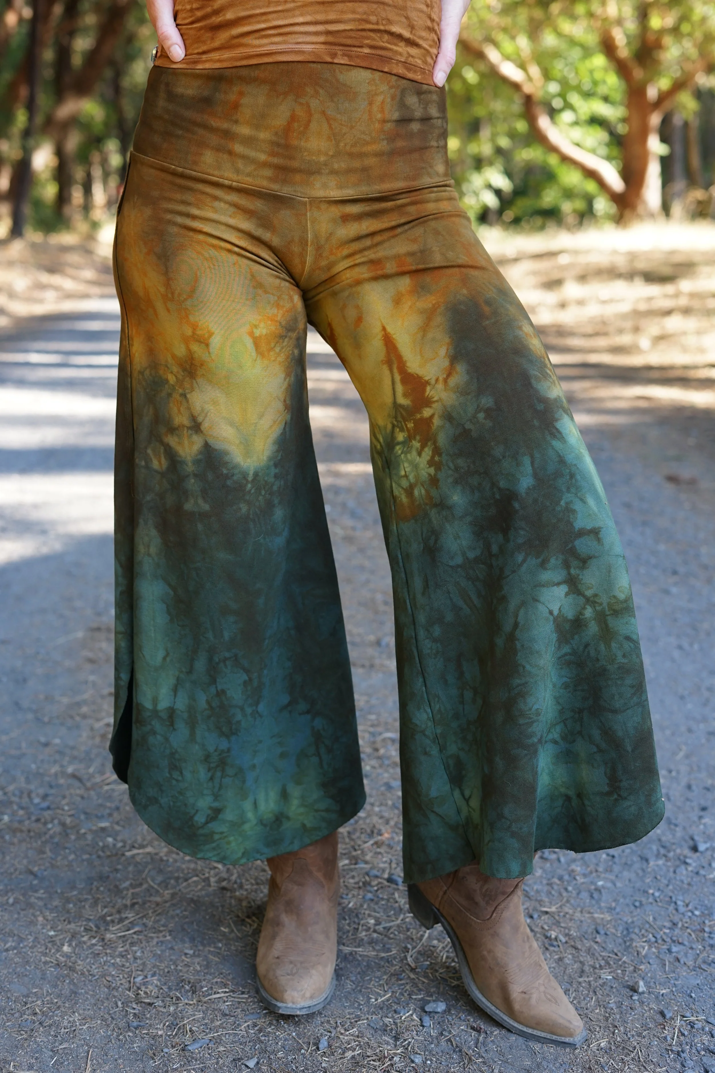 RTS- Ocotillo Gaucho in 'Desert Sea'