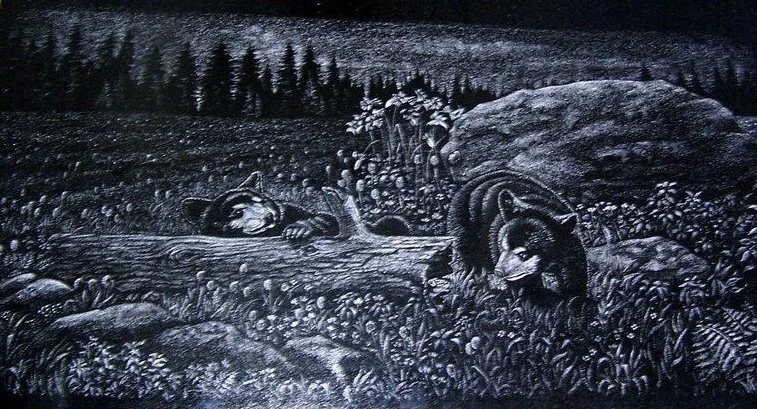 etching of two bear cubs in a forest, one lying on a log, the other standing near plants and rocks.