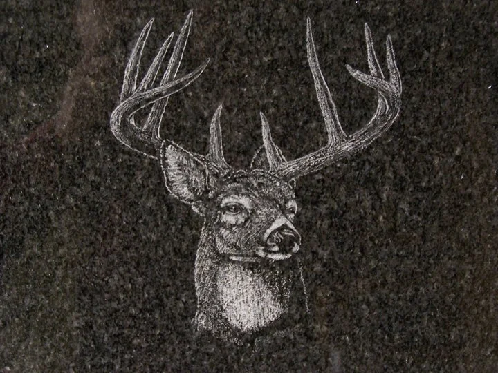 Etched drawing of a deer head with large antlers on a dark stone background.