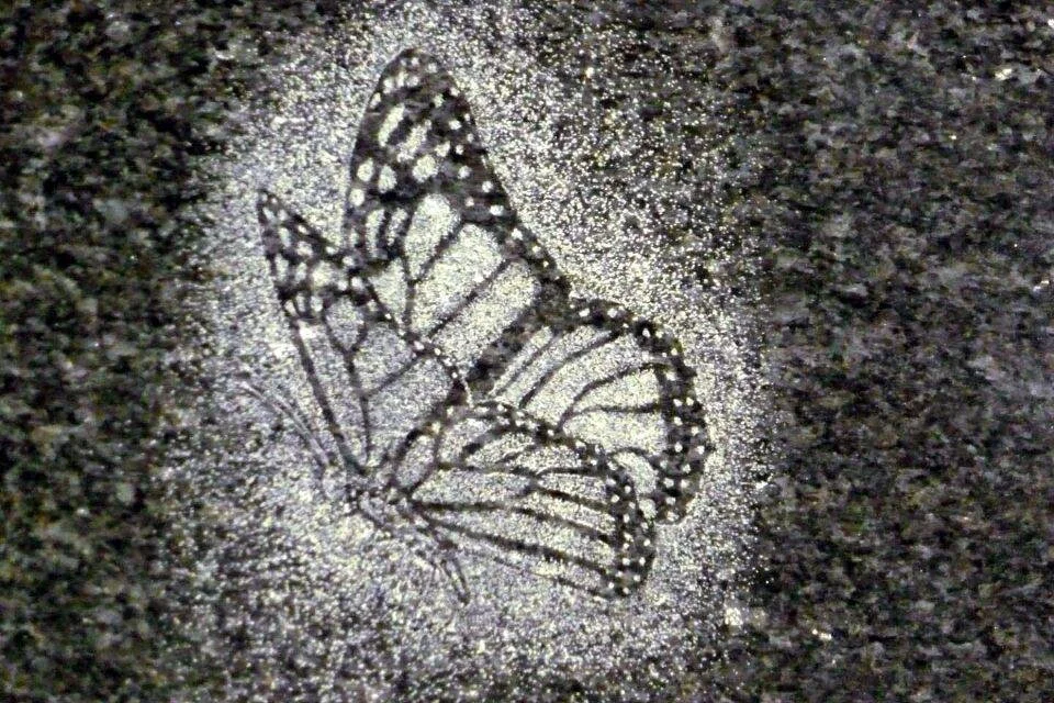 White butterfly silhouette on dark background
