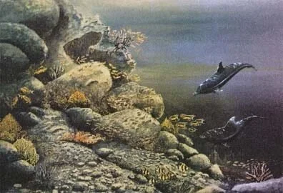 Underwater scene with a rocky reef, various fish, coral formations, and two dolphins swimming.