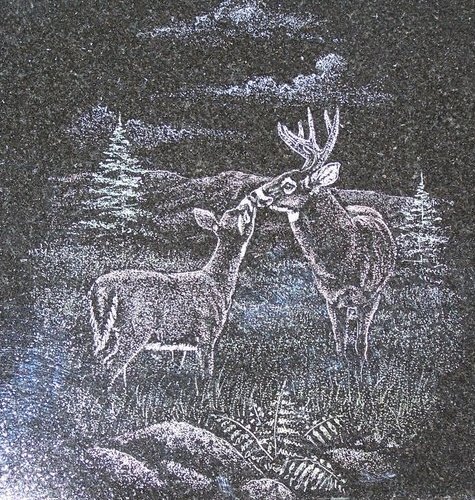 Engraving of two deer in a forest with trees and rocks, night sky background.