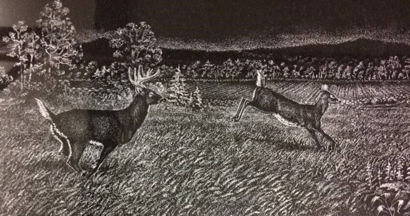 Two deer in a meadow at night, depicted in a black and white drawing, with trees and foliage in the background.