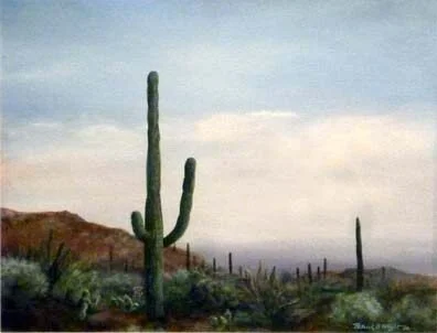 Desert