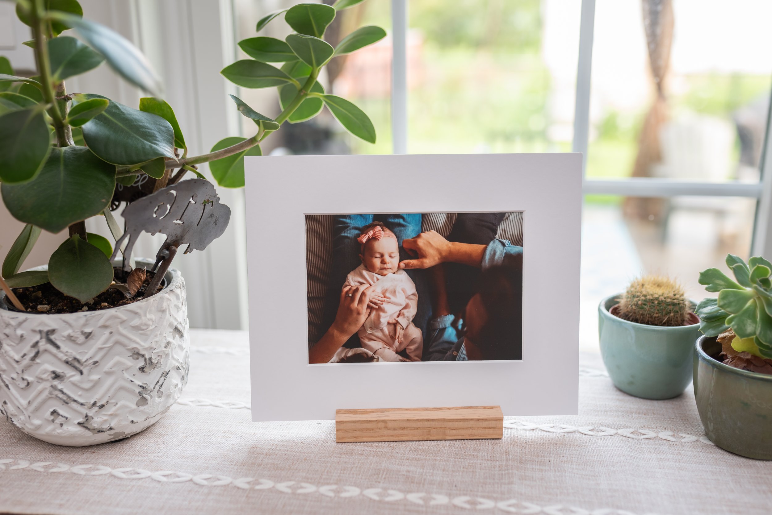 2024_08 August 5b import 15.jpg