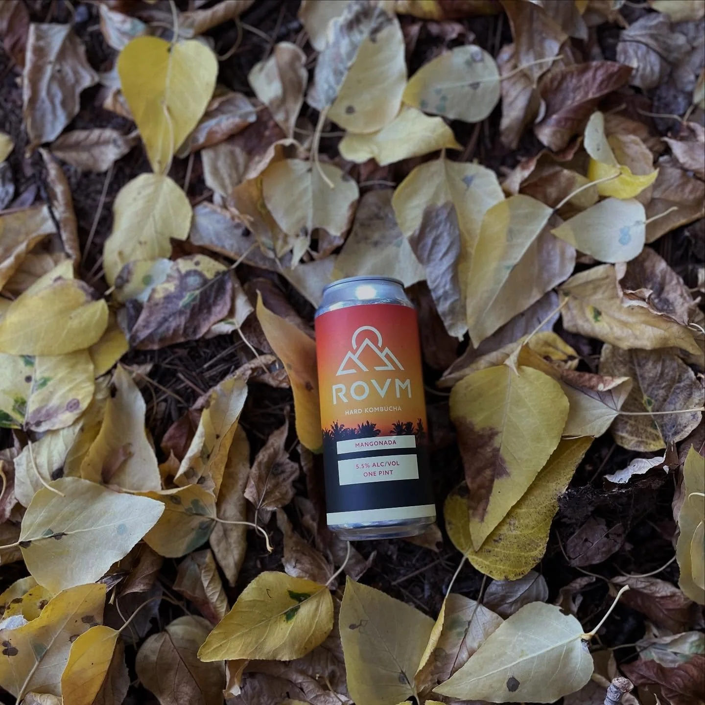 When you see this photo Monday morning, may you be inspired to wear your flannel today. #flannelseason