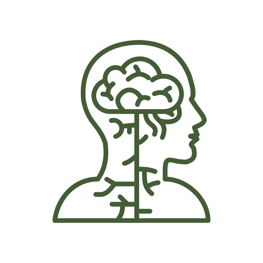 Nervous System & Stress Response