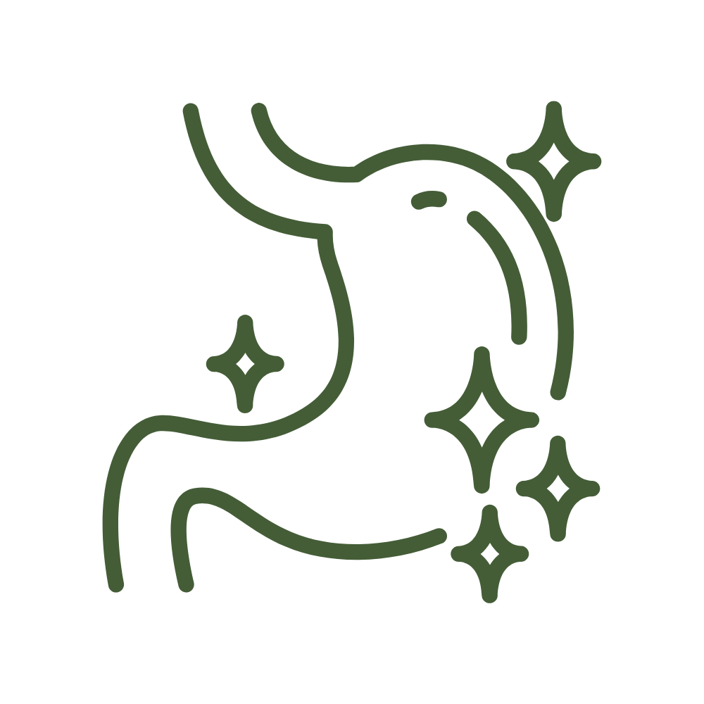 Gut Health & Microbiome