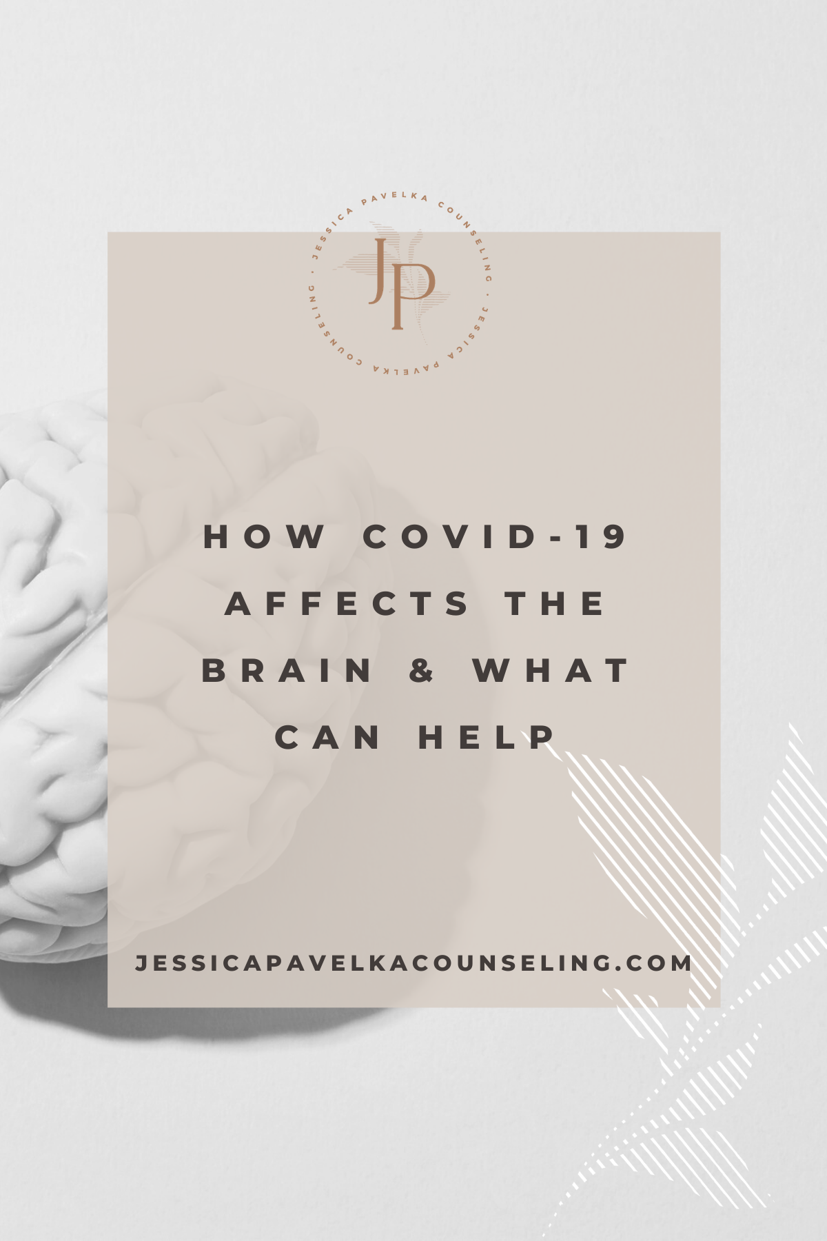 How COVID-19 Affects the Brain &amp; What Can Help