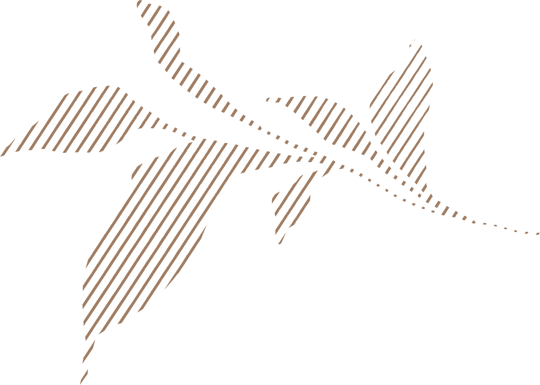 Line art of a hummingbird with a prominent beak perched on a branch, illustrated with diagonal lines in brown on a black background.