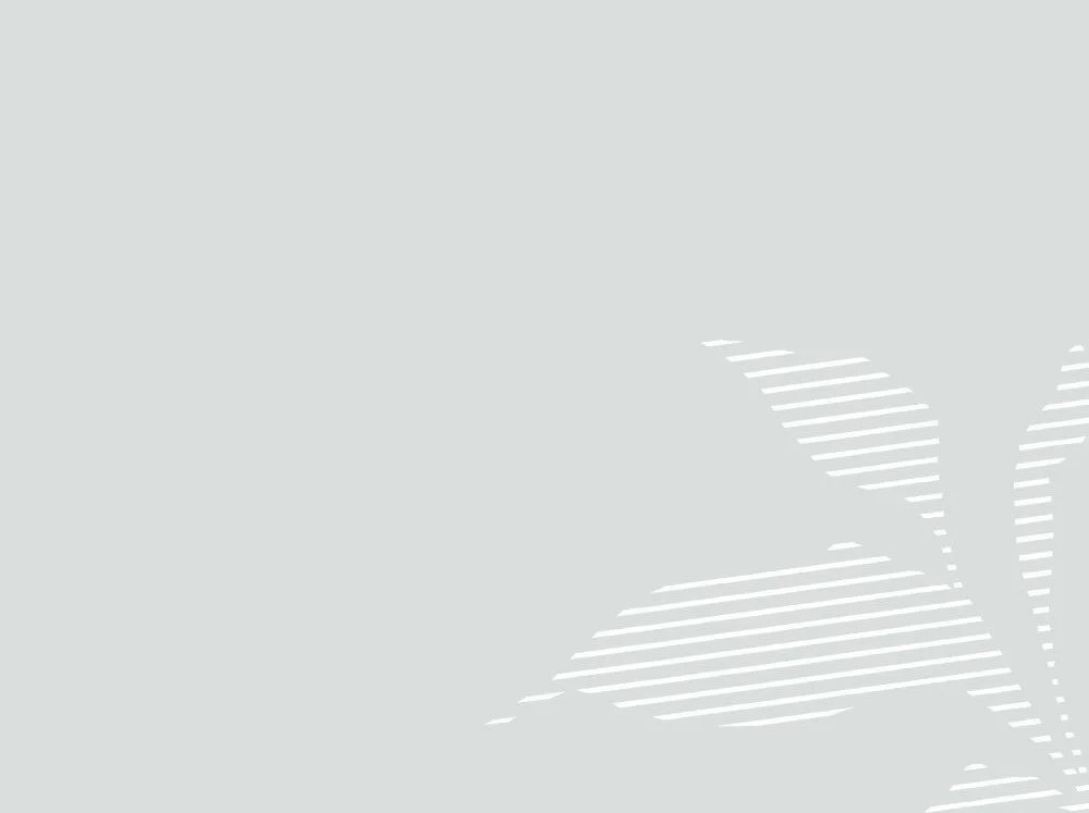 A faint, minimalist background with a subtle leaf pattern in a light gray color.