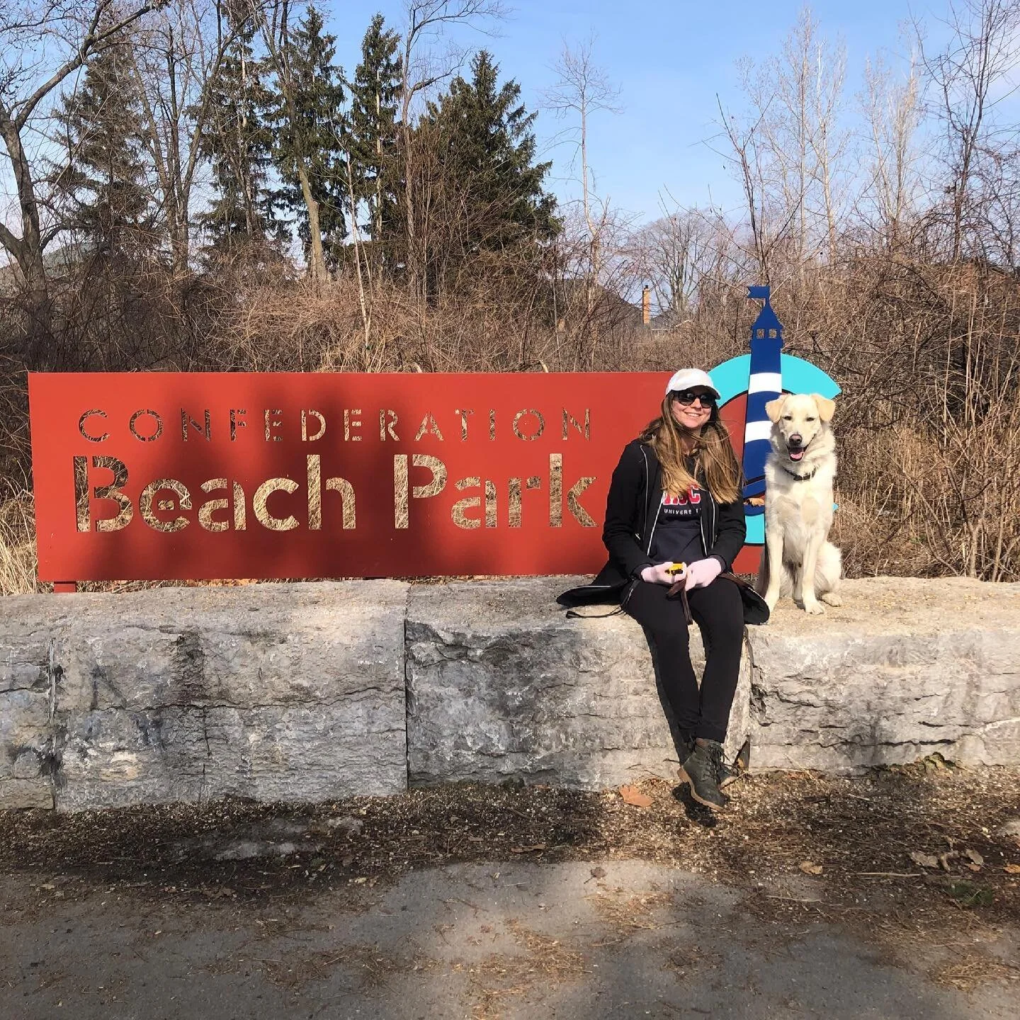 Balanced Behaviour Dog Training