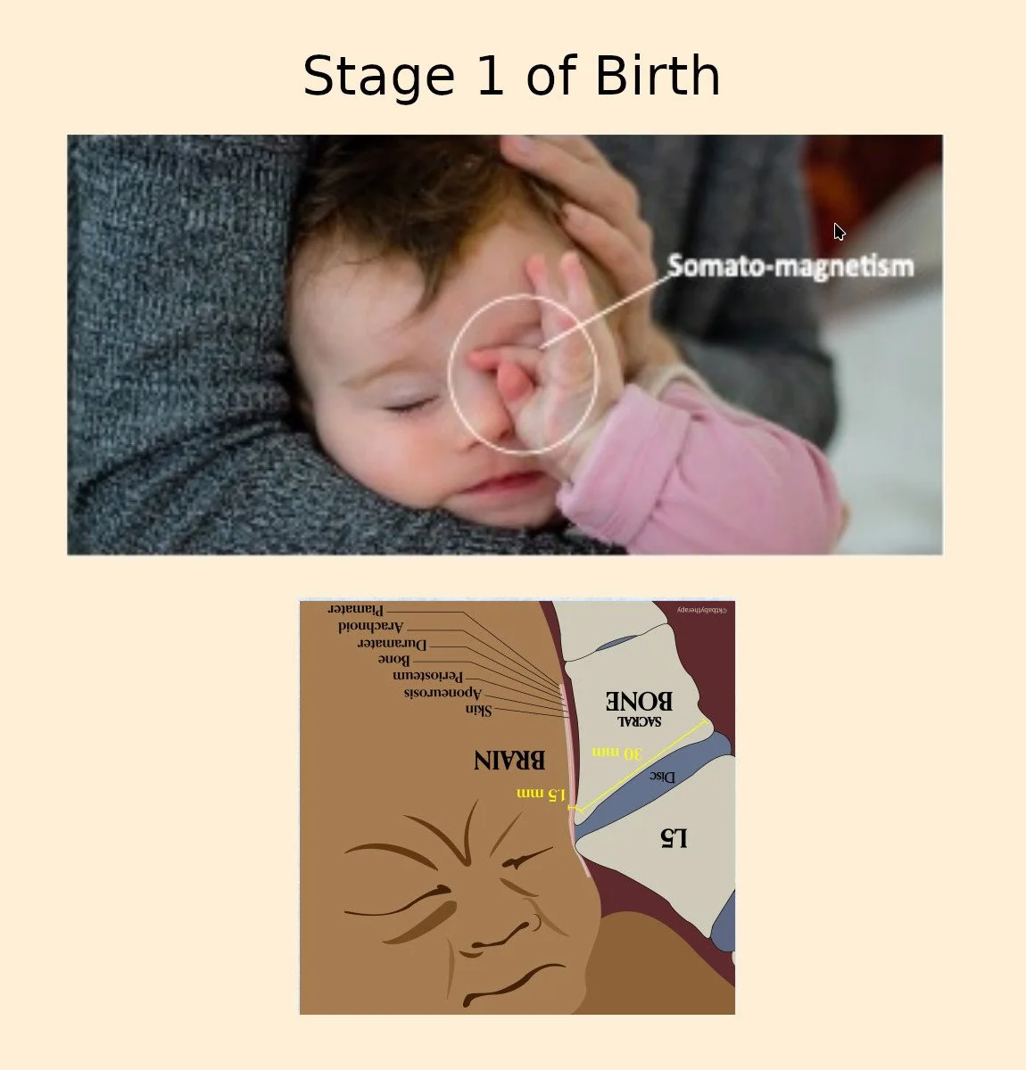 BABY BODY LANGUAGE: INTRODUCING SOMATO-MAGNETISM