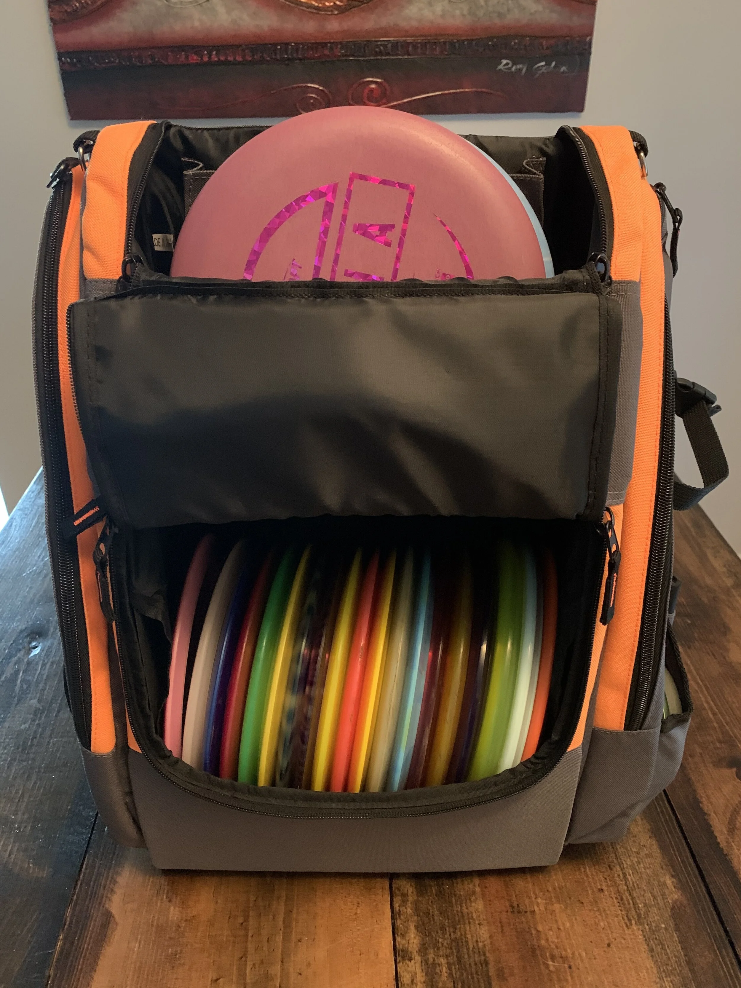 My bag. I'm always rotating discs, but this is what's inside currently!