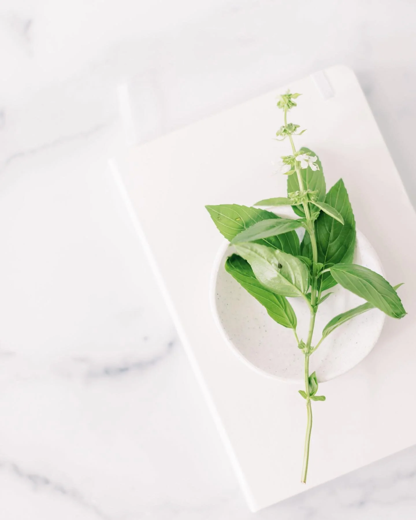 THE BIG LAUNCH! We are just about a week away from launching the website and my signature online health course!

SO much time, energy, and love has gone into this launch and I could not be more excited to reveal it all to you.

The self-guided course