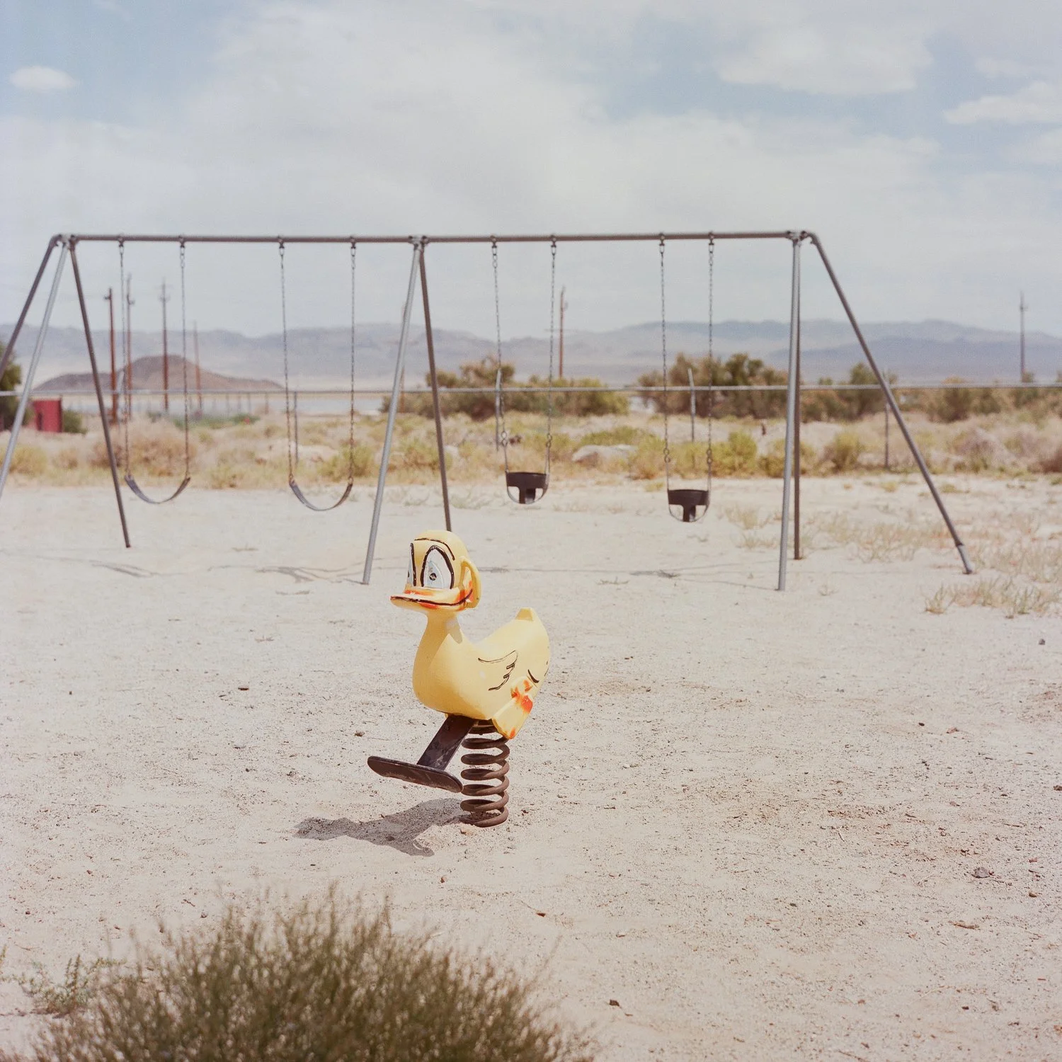 chaussee 2026-14.jpg