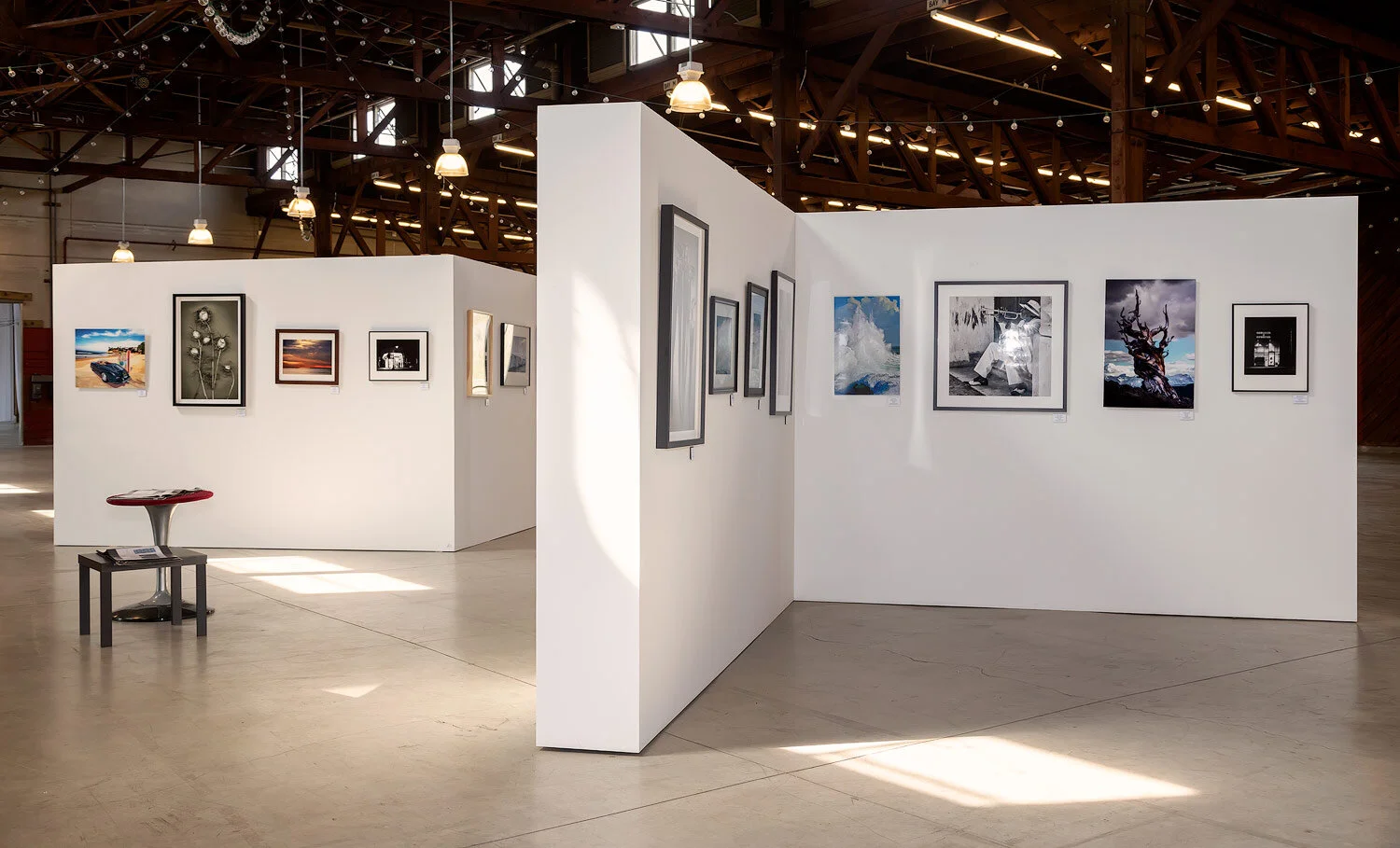 Pictures from the PADA Pandemic Show