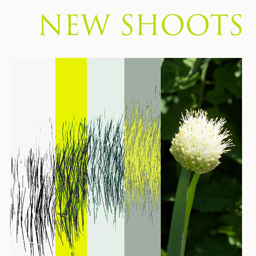 New Shoots Photography Show at Crafted