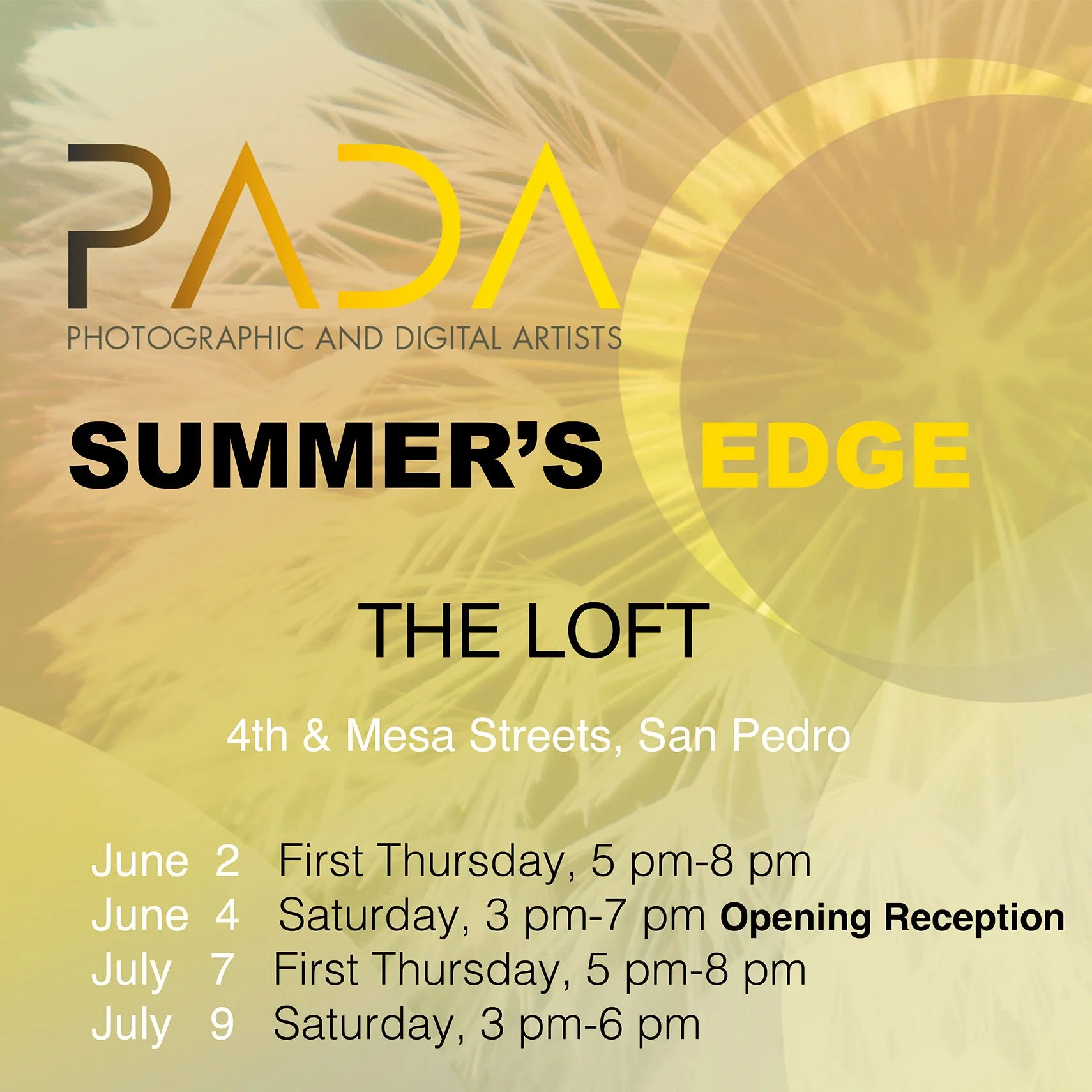 PADA show at the Loft, San Pedro