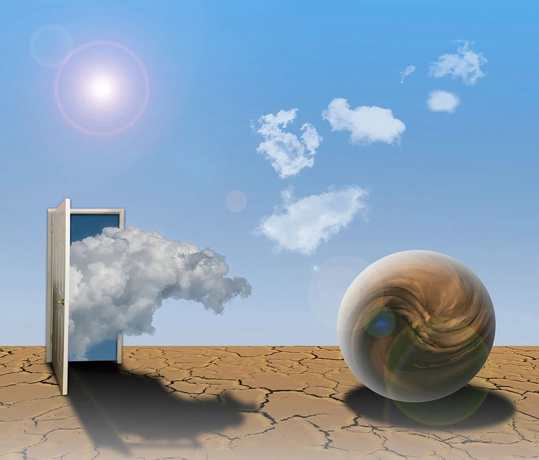 PVAC Winter Show 2022