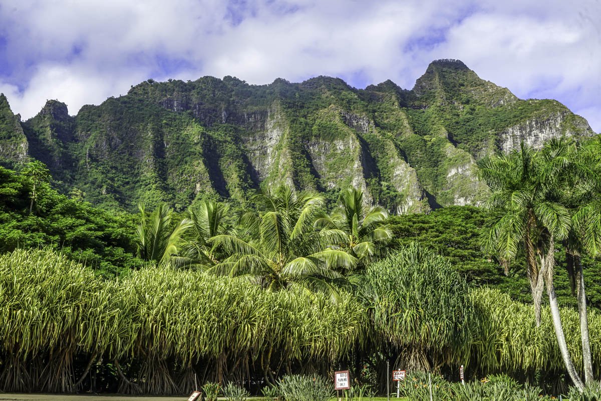 Uncovering the Magic of Kualoa Ranch Oahu's Hidden Gem