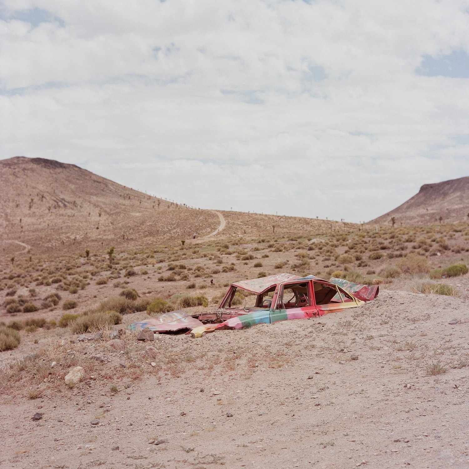 chaussee 2026-10.jpg