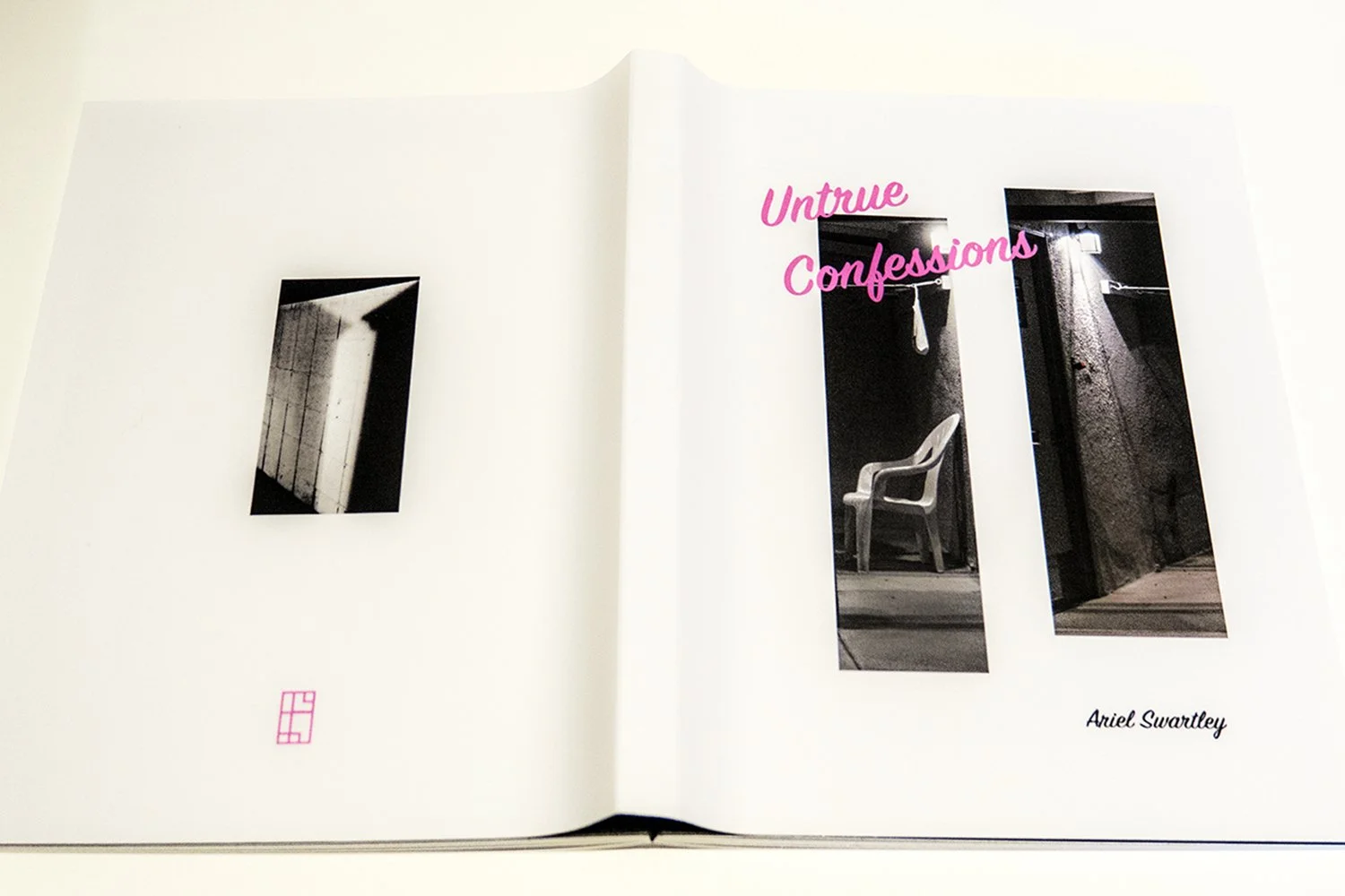 Untrue Confessions Book