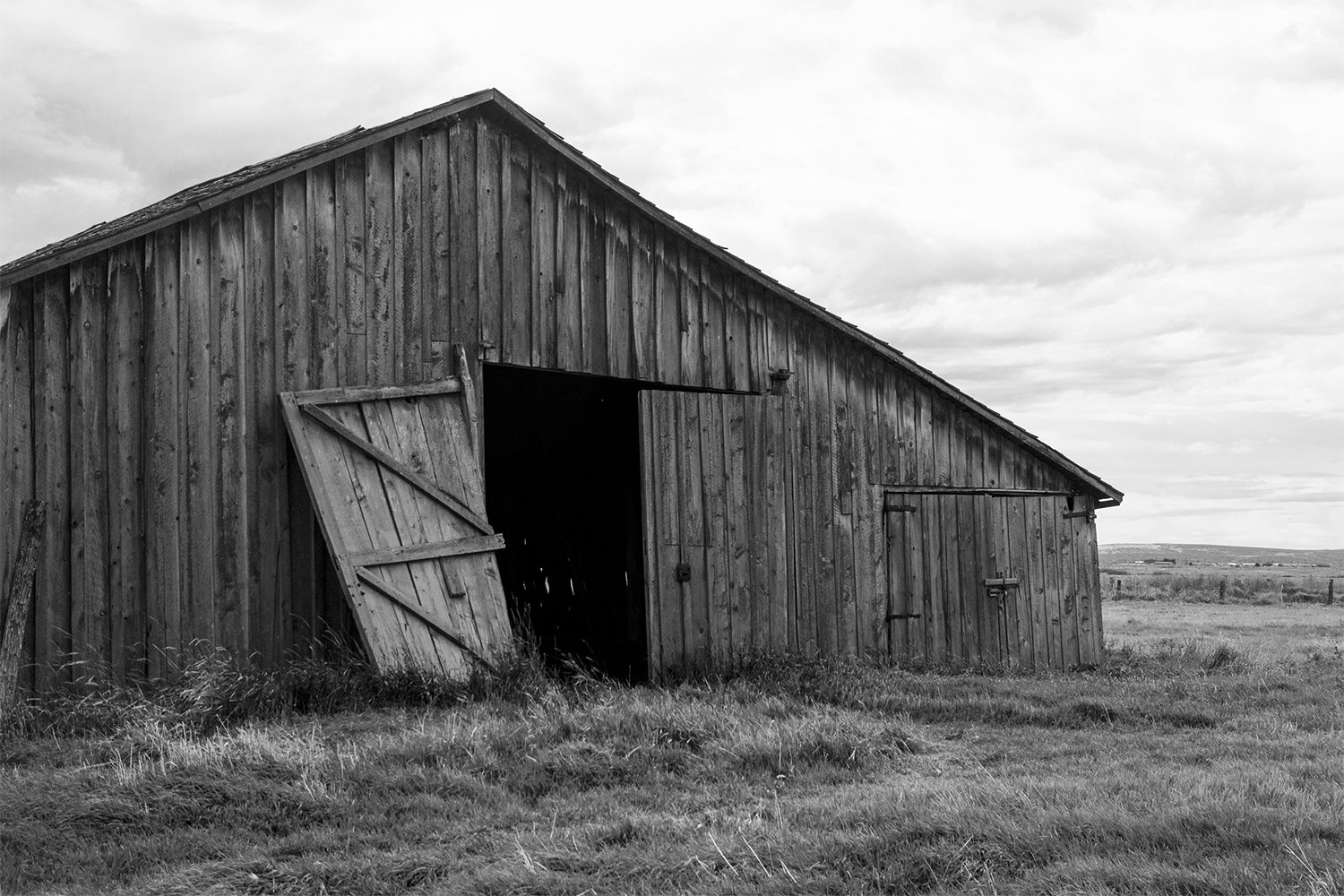 Barn Door