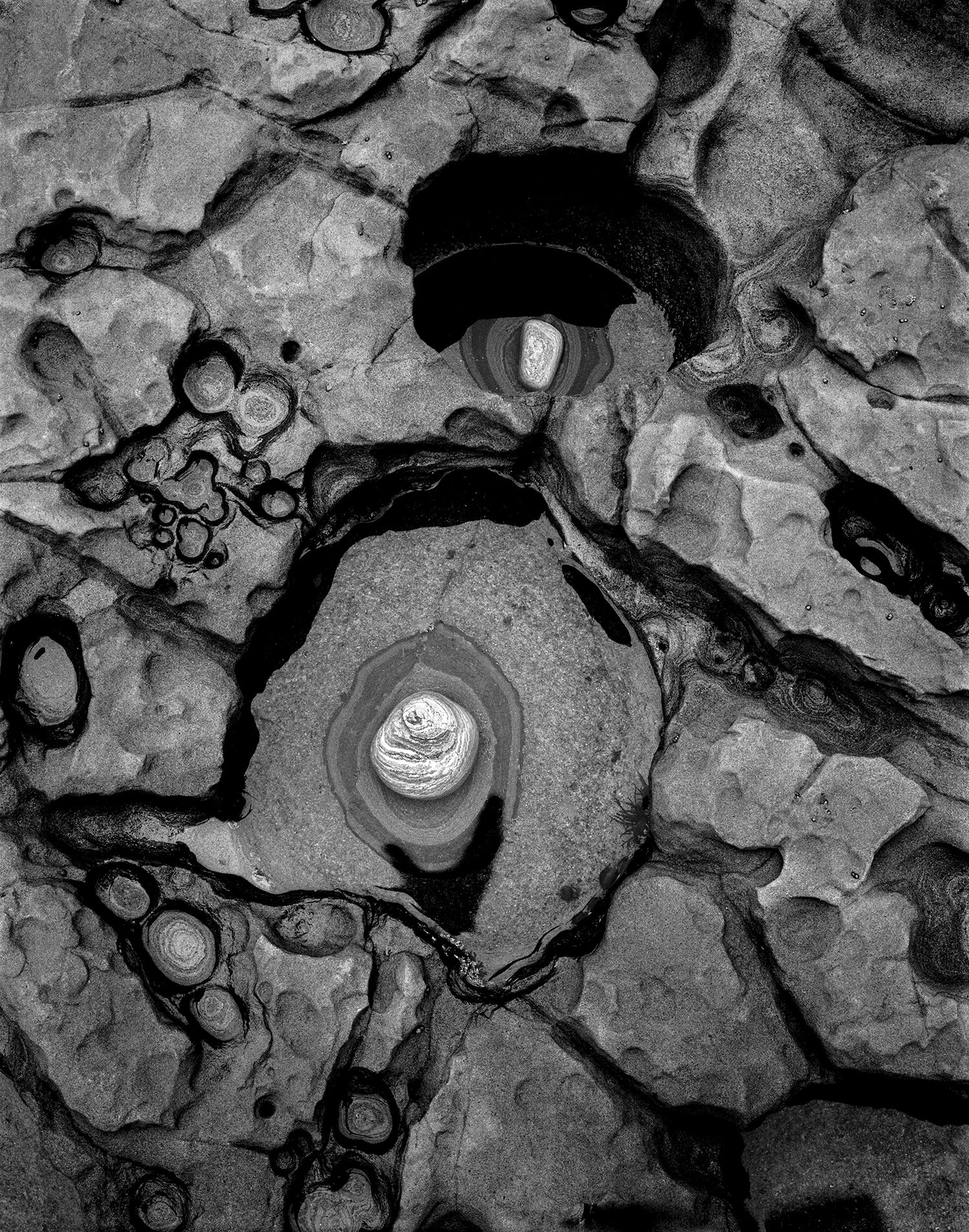 White Point Tidepool