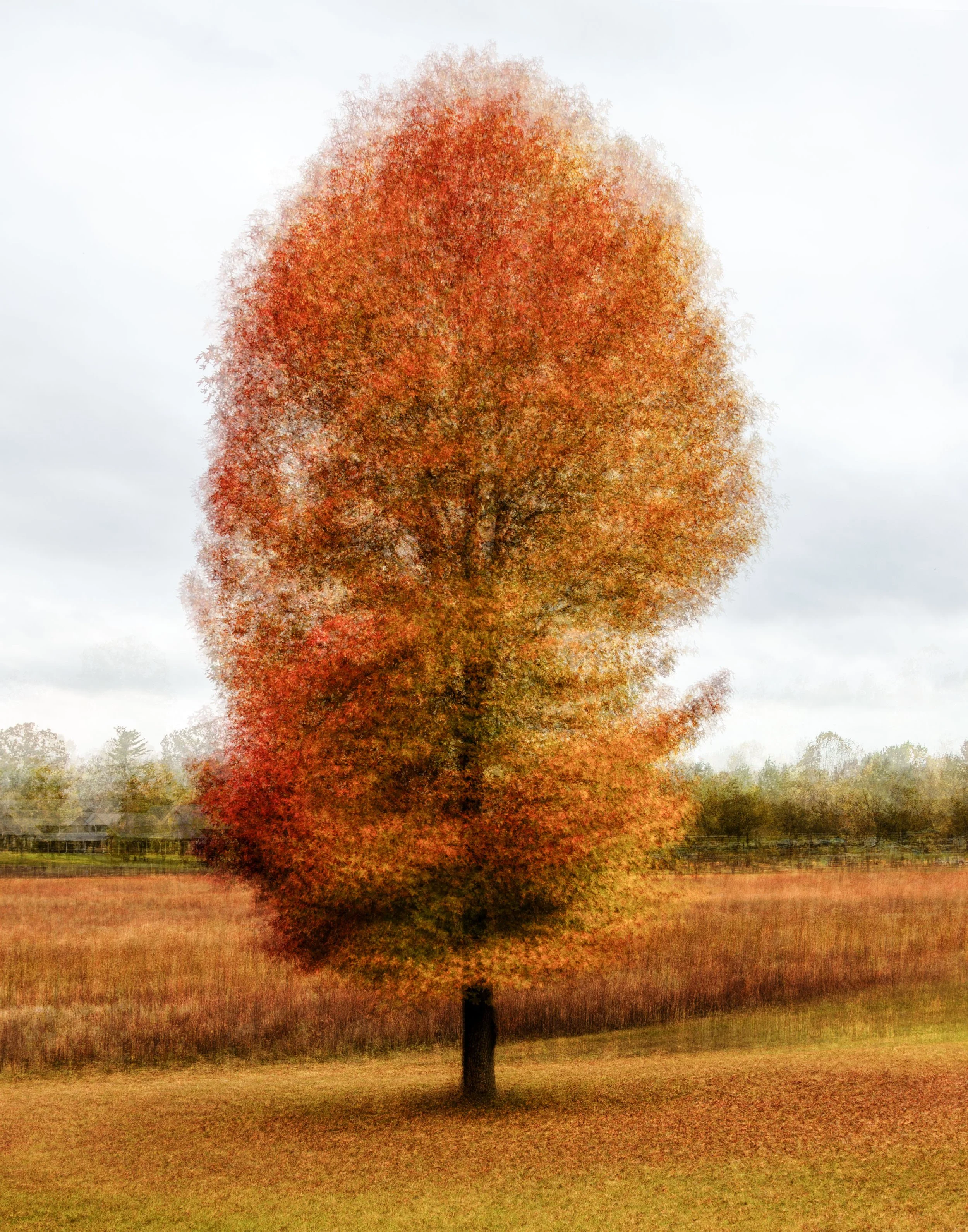Free Fallin’ – Tennessee