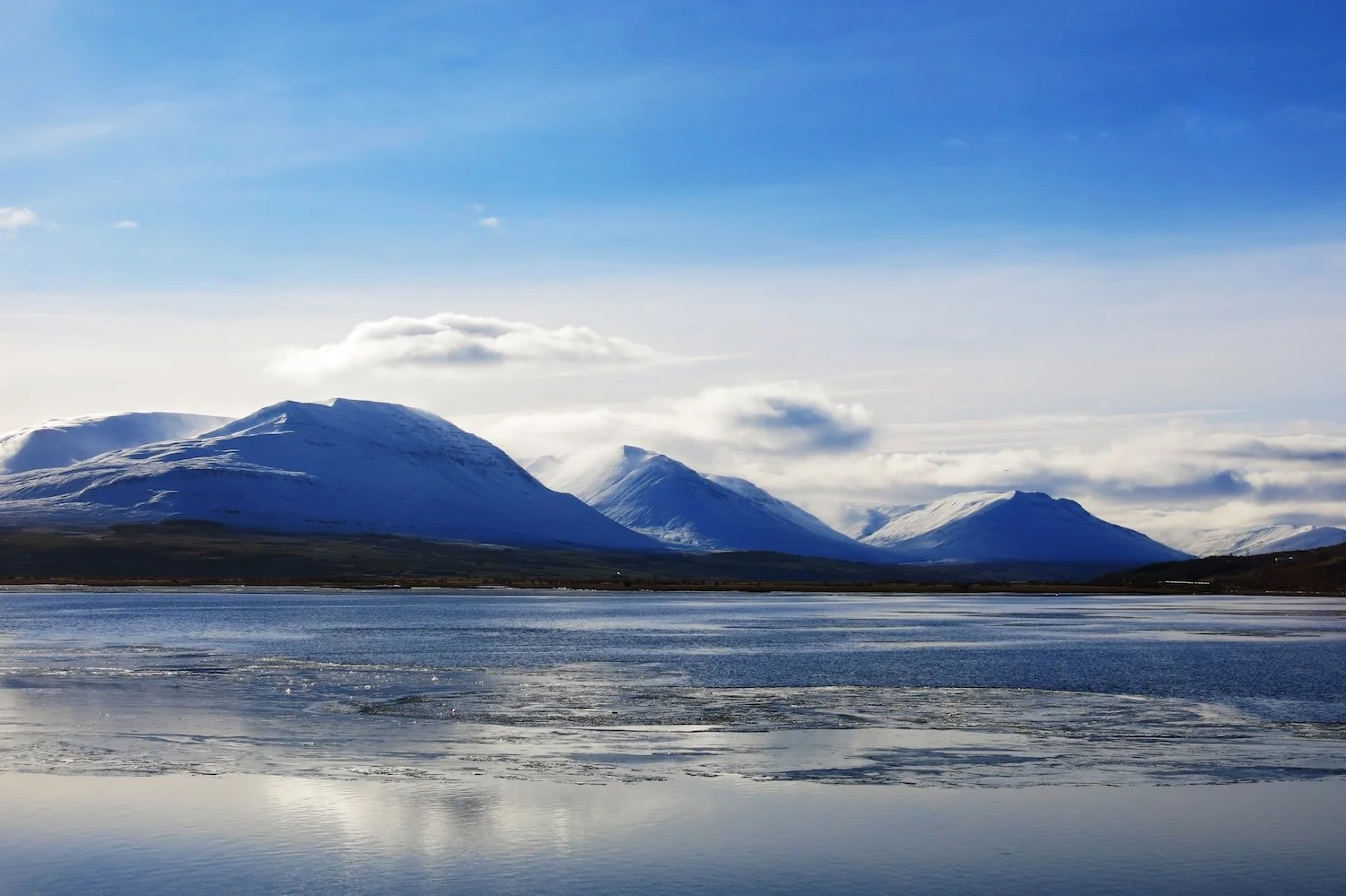 Ice Land