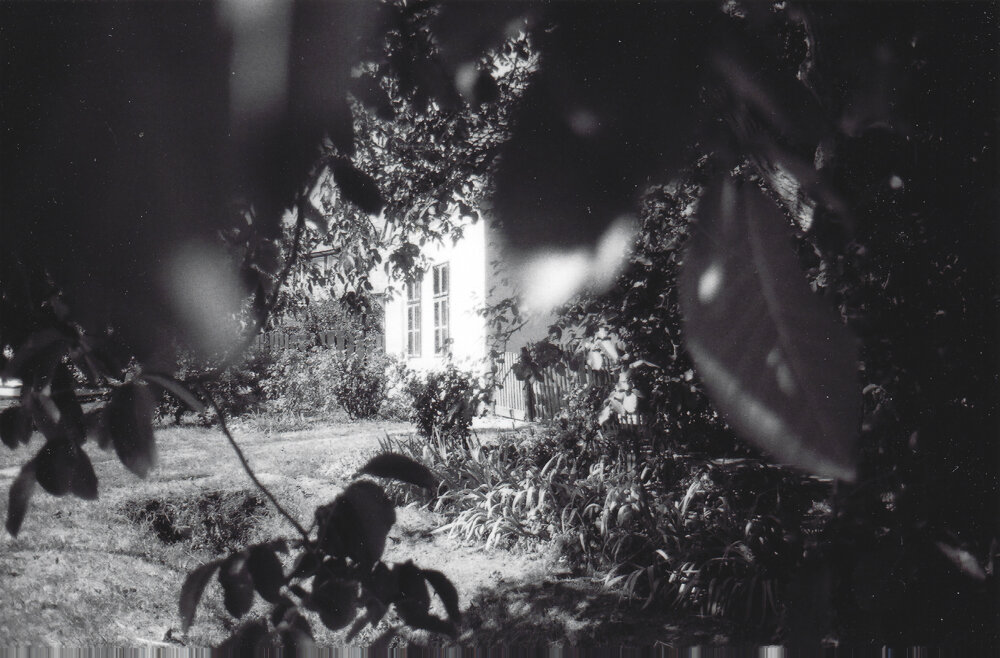 Window, Harka, 2004