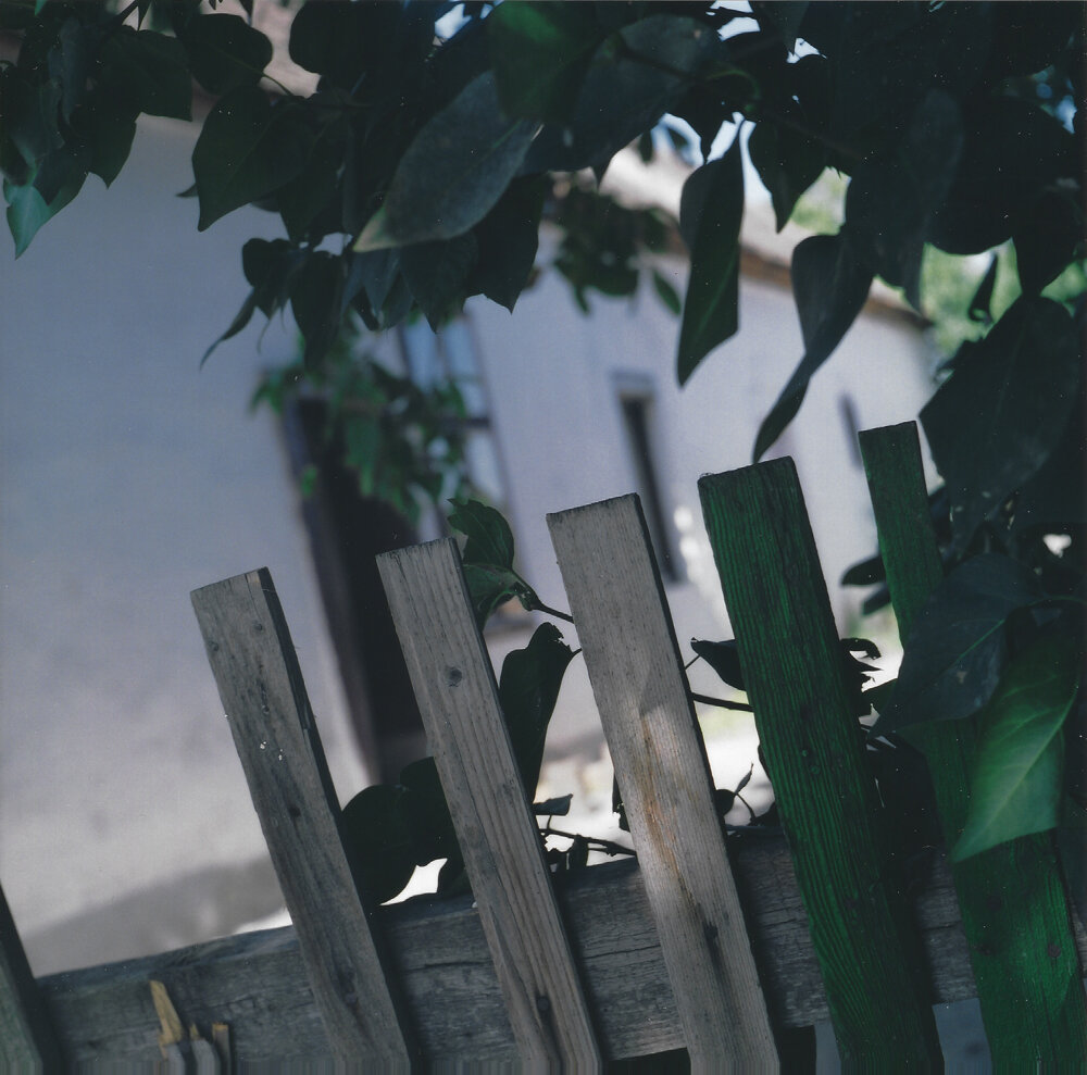 Gate, Harka, 2004
