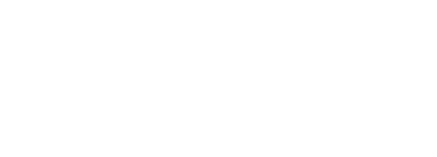 Castillo Agency