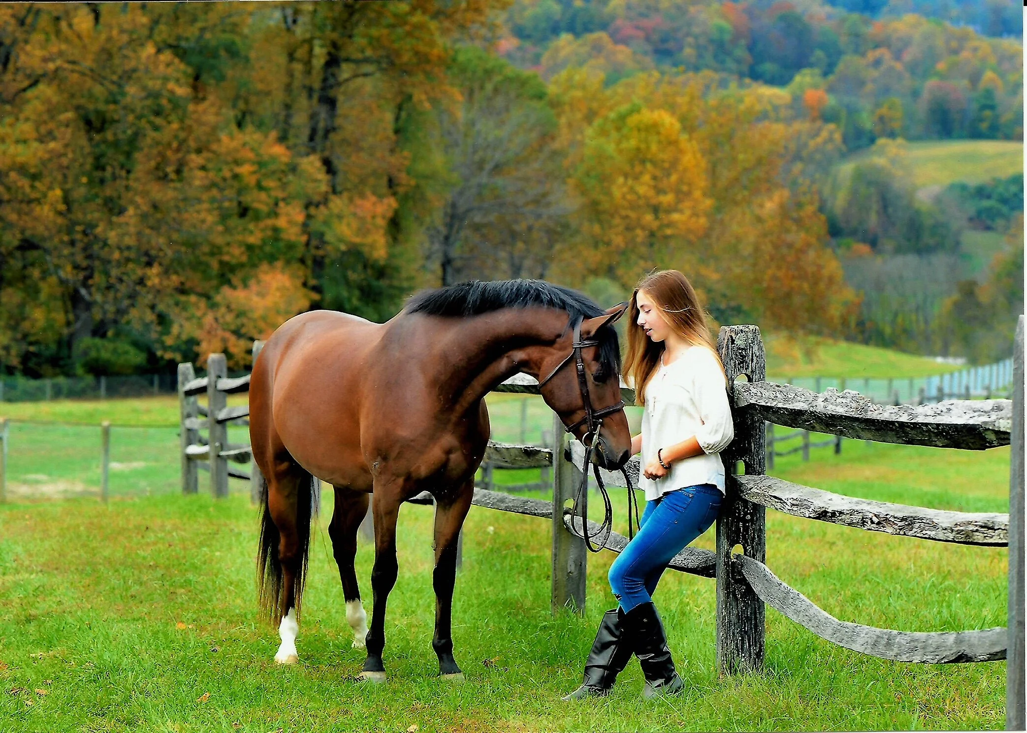 For Sale — Fox Creek Farm