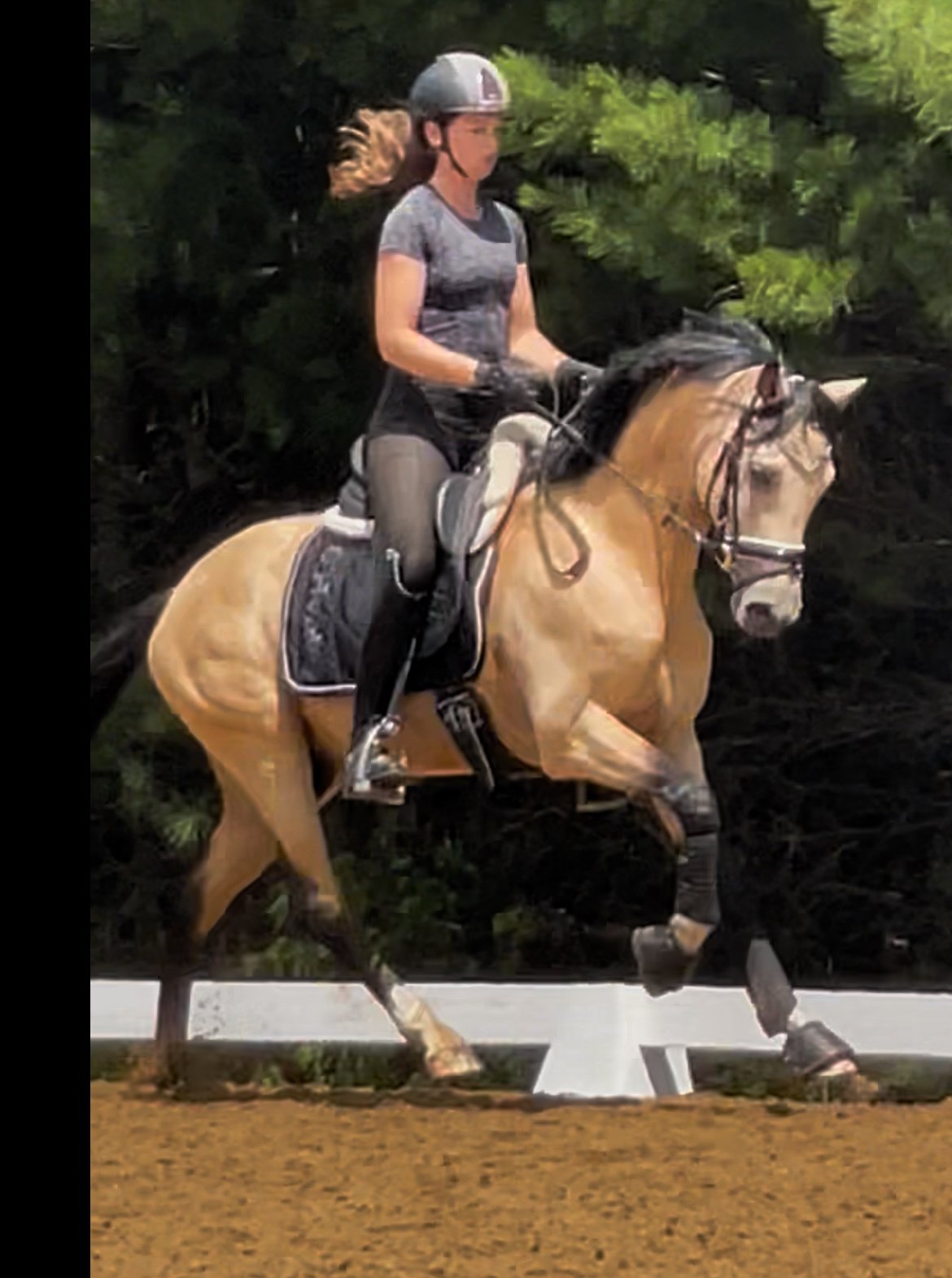 Fox Creek's Casanova