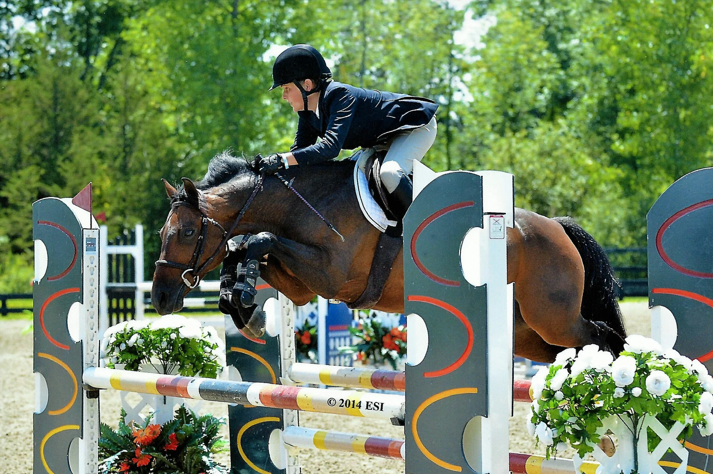 For Sale — Fox Creek Farm