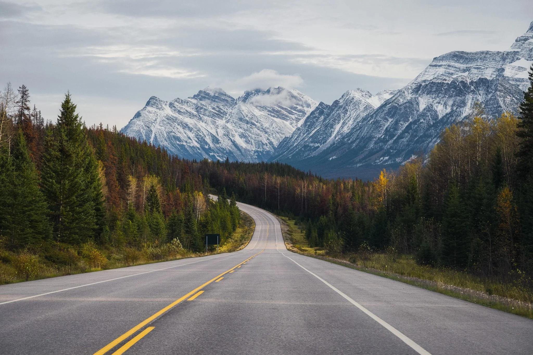 A winding road through a forest with snow-capped mountains in the background.